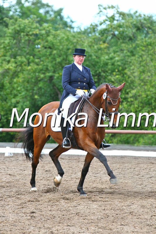 109M1590_Latina_Dressur S_St. Georg_e.JPG